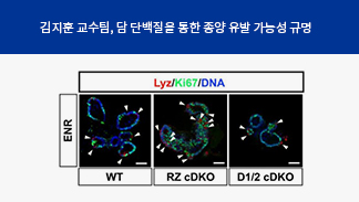 첨부이미지1