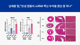 첨부이미지1