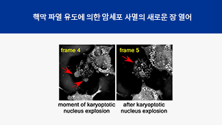 첨부이미지1